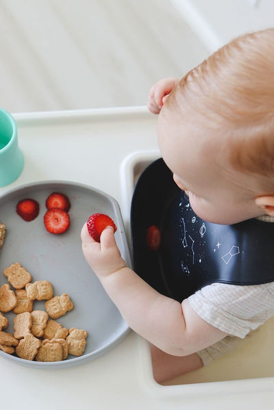 Az Egészséges hozzátáplálás alapjai:  Fontos táplálkozási tudnivalók a babák számára